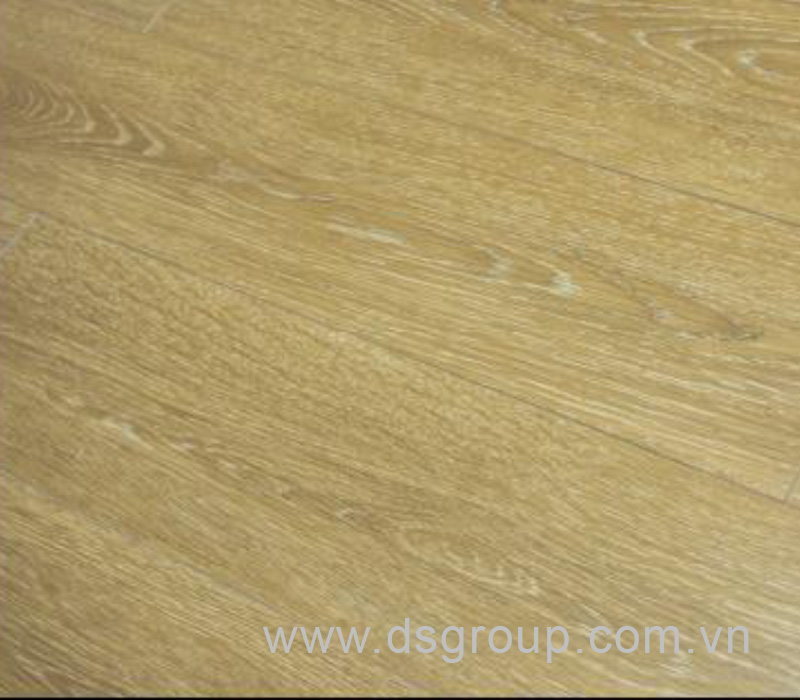 VG4099 Poland Oak